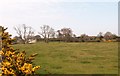 View across pasture land towards Plas Gwyn farmhouse