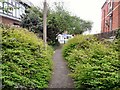 Footpath from Crown Mews