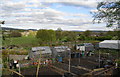 Allotments and the Tame valley