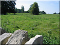 Farmland at Pipewell