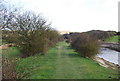 TV5199 : Footpath along the River Cuckmere by N Chadwick