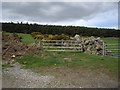 A wide stone wall near Easter Ord