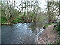 East Devon : The River Otter