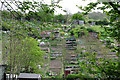 Roedale Valley allotments