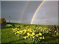 Springtime rainbow