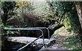 V8539 : Footbridge over Stream by Andrew Wood