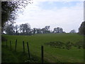 TM0837 : Spring Hill Farm by Geographer