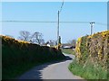 Country road north of Rhedynog Bellaf