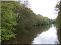 The lake at Paulton