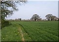 Field near Willstock Farm