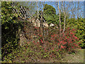 Ruined cottage, Botley Park