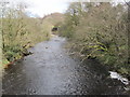 River Irthing at Wallholme