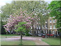 All Saints churchyard