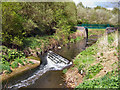 SJ8899 : River Medlock, Clayton Vale by David Dixon