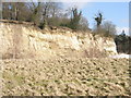 Edge of the quarry at Park Pit