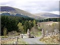 The gates of Threestoneburn House