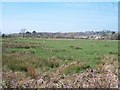 The flood plain of Afon Erch