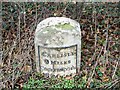 Milestone, Jenkin Cross