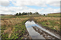 Muddy farm track to Badbog