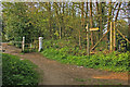 Footpath junction near Motts Hill Lane