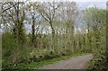 SO9245 : Track through Tiddesley Wood by Bob Embleton