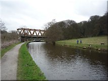 SE1739 : Old railway bridge over the Leeds Liverpool canal by DS Pugh