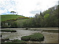 The estuary of the East Looe River