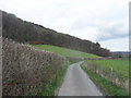 Country Lane near Branas Isaf