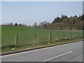 Grassy knoll to the west of the Chwilog road