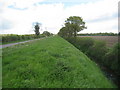 View along Mill Dam Dyke and Girton Lane