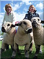 Uffculme : Uffculme Show 2010 & Prize Winning Sheep