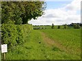 Corner of wood by footpath to Stratford-upon-Avon