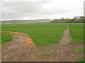 Footpath junction near Sillibourne Farm