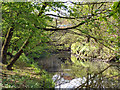 River Roch, near Hooley Bridge