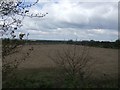 Former School Playing Fields