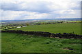 Fields above Jericho