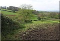 Countryside near Down Barn Farm