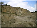 Farley Quarry - the central section