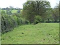 Sunken lane