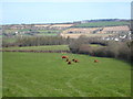 Field at Bodwannick Manor