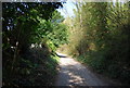 The Medway Valley Walk climbs the North Downs