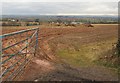 Field at Higher Davidsland