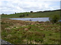 R2675 : Gortaganniff Lake, Kilmaley, Co Clare by C O'Flanagan