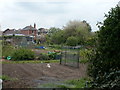 Christchurch, allotments