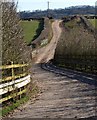 Farm road near Wells