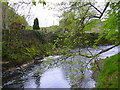 River Irwell at Chatterton, Lancashire