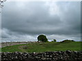 Old quarry on Windrigg Hill