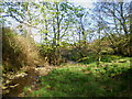 Brook and valley south of Easing Farm