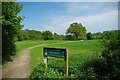 Oak Tree Meadow