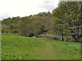 Gristlehurst Wood